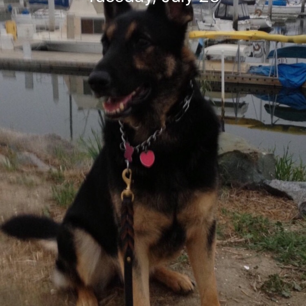 Meet your Posher, Lillian